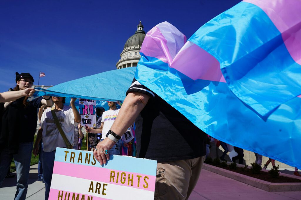 Demo für Transrechte in einer US-amerikanischen Stadt 2026. Auch Thema eines Artikels im Spiegel vom 24. Mai 2026.