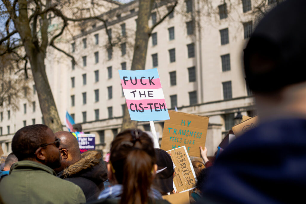 Eine Gruppe von Menschen demonstriert vor einem großen, hellen Regierungsgebäude. Mehrere Personen halten Schilder in den Farben der Transgender‑Pride‑Flagge. Auf den Plakaten stehen Botschaften wie „MY TRANSNESS FEELS LIKE HOME“ und „YOU CAN’T CURE SOMEONE WHO ISN’T ILL“. Die Stimmung wirkt entschlossen und solidarisch, während die Gruppe eng beieinandersteht und sich für trans Rechte einsetzt.